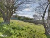 6 Clift Street, Mount Stuart, Tas 7000-Image