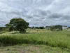6 Collins Street, Georgetown, Qld 4871