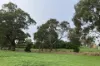 6 Cricklewood Place, Naracoorte, SA 5271-Image