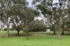6 Cricklewood Place, Naracoorte, SA 5271-Image