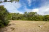 6 Curlew Court, Poona, Qld 4650-Image