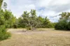 6 Curlew Court, Poona, Qld 4650-Image