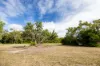 6 Curlew Court, Poona, Qld 4650-Image