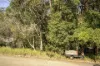 6 Dolphin Place, Valla Beach, NSW 2448-Image