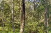 6 Dolphin Place, Valla Beach, NSW 2448-Image