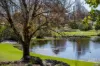 6 High Street, Stanthorpe, Qld 4380-Image