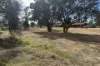 6 Macbride Street, Kojonup, WA 6395-Image