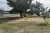 6 Macbride Street, Kojonup, WA 6395-Image