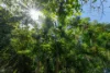 6 Marcus Close, Mooroobool, Qld 4870-Image