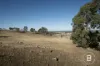 6 Mason Drive, Moliagul, Vic 3472-Image