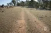 6 Mason Drive, Moliagul, Vic 3472-Image