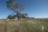 6 Mason Drive, Moliagul, Vic 3472-Image