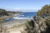 6 Mountain Ash Close, Inverloch, Vic 3996-Image