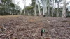 6 Pauciflora Drive, London Lakes, Tas 7140-Image