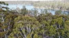 6 Pauciflora Drive, London Lakes, Tas 7140-Image