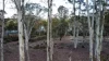 6 Pauciflora Drive, London Lakes, Tas 7140-Image