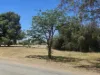 6 River Terrace, Redhill, SA 5521-Image
