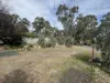 6 Shannon Street, Birdwood, SA 5234