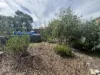 6 Shannon Street, Birdwood, SA 5234-Image