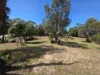 6 Twenty First Street, Paradise Beach, Vic 3851-Image