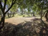6 Twenty First Street, Paradise Beach, Vic 3851-Image