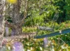 6 Warana Avenue, Mount Lofty, Qld 4350-Image