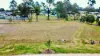 6 Wattle Crescent, Gatton, Qld 4343-Image
