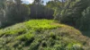 6 Whipbird Close, Speewah, Qld 4881-Image