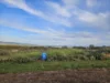6 York Road, Weeroona Island, SA 5495-Image