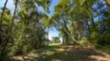 60 Dunkalli Crescent, Wongaling Beach, Qld 4852-Image