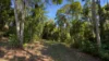 60 Dunkalli Crescent, Wongaling Beach, Qld 4852-Image