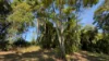 60 Dunkalli Crescent, Wongaling Beach, Qld 4852-Image