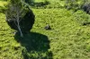 607 Delicia Road, Mapleton, Qld 4560-Image