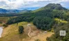 61 Alfred Road, Killabakh, NSW 2429