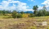 61 Alfred Road, Killabakh, NSW 2429-Image