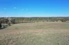 61 Tierneys Road, Young, NSW 2594-Image