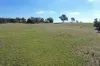 61 Tierneys Road, Young, NSW 2594-Image