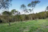 61 Zillman Road, Ocean View, Qld 4521-Image