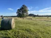 619 Romsey Road, Woodend, Vic 3442-Image