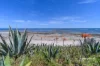 61a Whinnerah Avenue, Aldinga Beach, SA 5173-Image