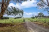62 Davis Lane, Grabben Gullen, NSW 2583-Image