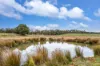 62 Davis Lane, Grabben Gullen, NSW 2583-Image