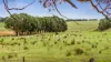 62 Davis Lane, Grabben Gullen, NSW 2583-Image