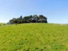 62 Harmon Road, Foster, Vic 3960-Image