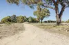 62 Oregano Drive, Two Rocks, WA 6037-Image