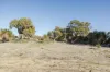 62 Oregano Drive, Two Rocks, WA 6037-Image