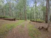 62 Shane Lane, Tolmie, Vic 3723-Image