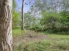 62 Shane Lane, Tolmie, Vic 3723-Image