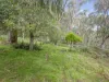62 Shane Lane, Tolmie, Vic 3723-Image