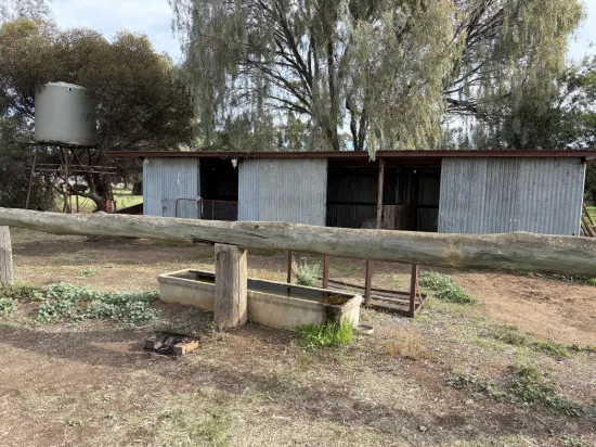 6230 Wakool Road, Wakool, NSW 2710